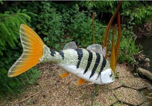 Recycled Fish Sculpture